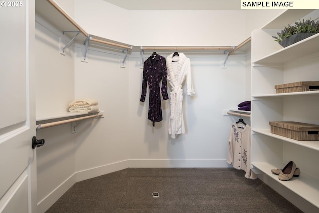 spacious closet with dark colored carpet