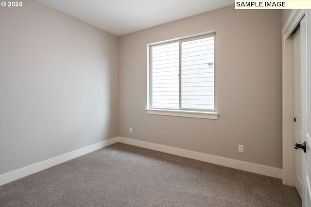 unfurnished room with carpet