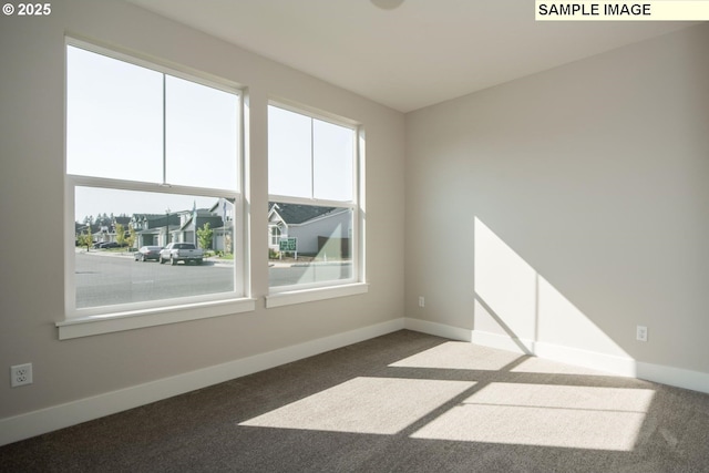 unfurnished room featuring carpet flooring