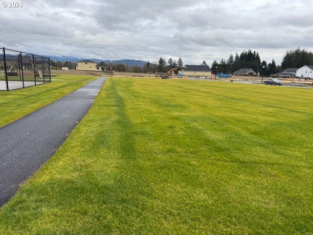 view of home's community with a lawn