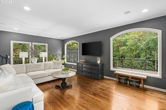 living room featuring hardwood / wood-style flooring and ornamental molding