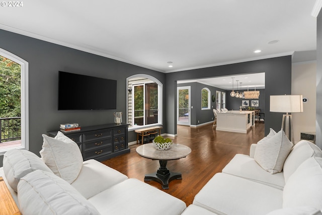 living room featuring crown molding, plenty of natural light, and dark hardwood / wood-style floors