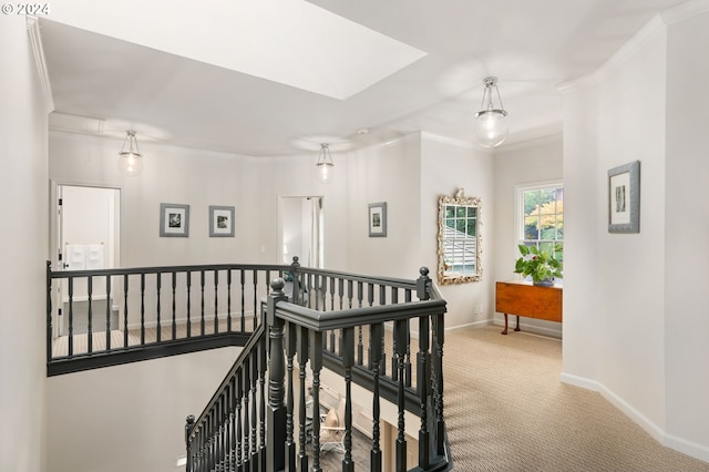 corridor with crown molding and carpet floors