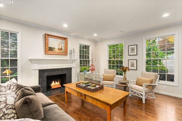 living room with hardwood / wood-style floors, crown molding, and a fireplace