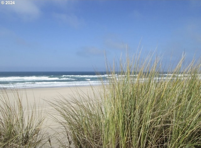 view of water feature with a beach view