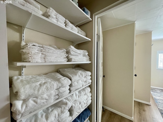 walk in closet featuring wood finished floors