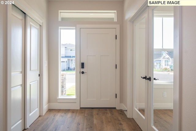 foyer featuring wood-type flooring and a wealth of natural light