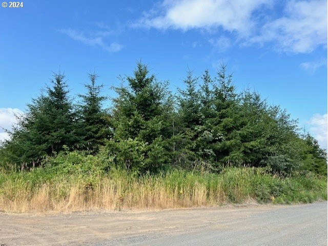 Listing photo 2 for Lindberg Rd, Clatskanie OR 97016