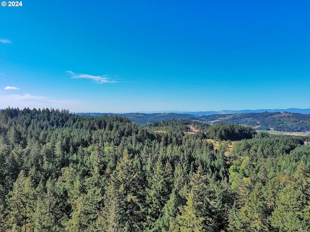 bird's eye view featuring a mountain view