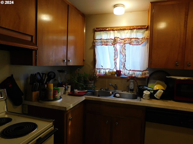 kitchen with sink, stove, wall chimney range hood, and dishwashing machine