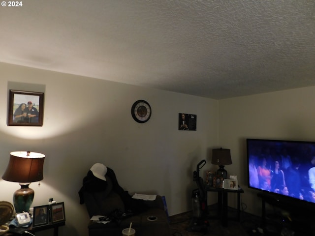 living room featuring a textured ceiling