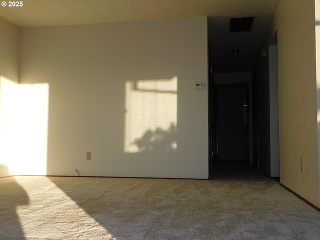 empty room featuring carpet floors