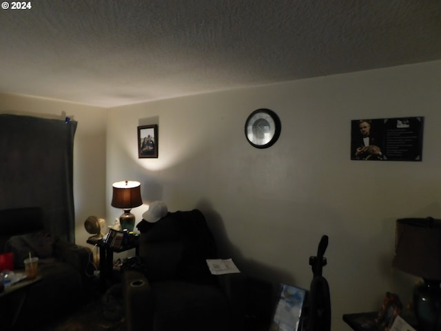 living room with a textured ceiling