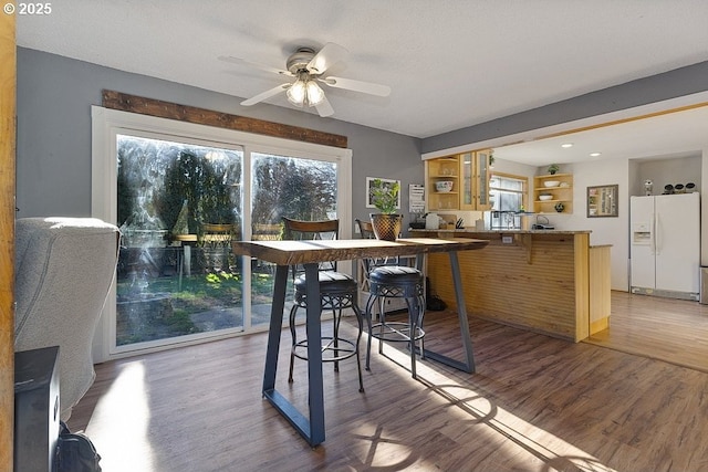 dining room with ceiling fan and hardwood / wood-style flooring