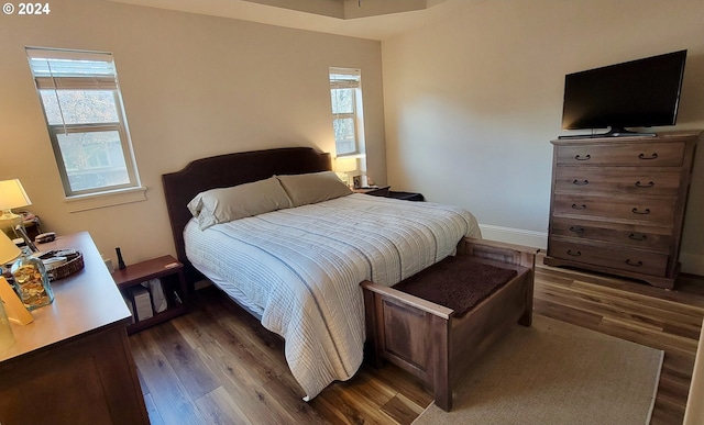 bedroom featuring multiple windows and dark hardwood / wood-style floors