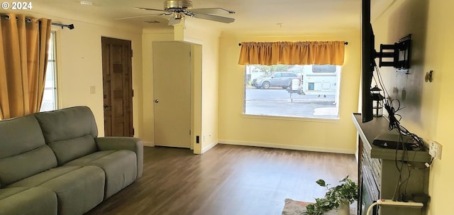 living room with ceiling fan and dark hardwood / wood-style flooring