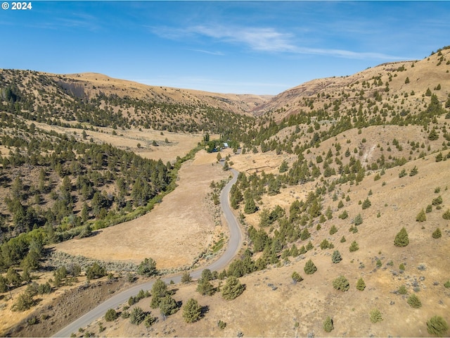 view of mountain feature