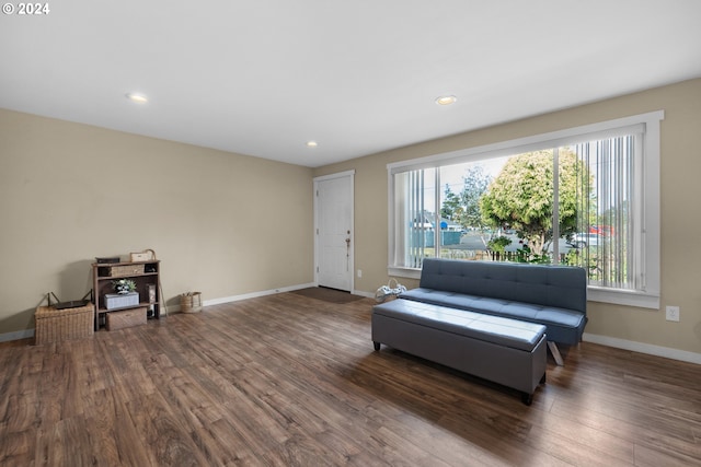 living area with dark wood-type flooring