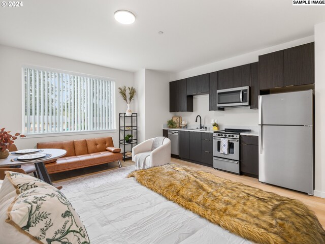 kitchen featuring stainless steel appliances, sink, and light hardwood / wood-style flooring