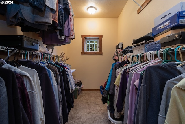 spacious closet featuring carpet floors