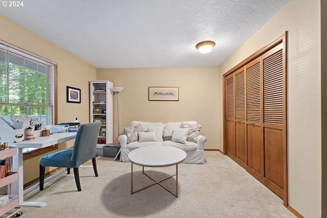 carpeted office with a textured ceiling