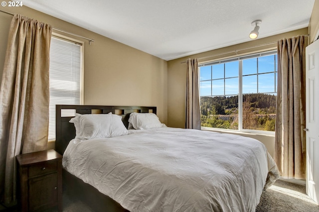 bedroom with carpet flooring