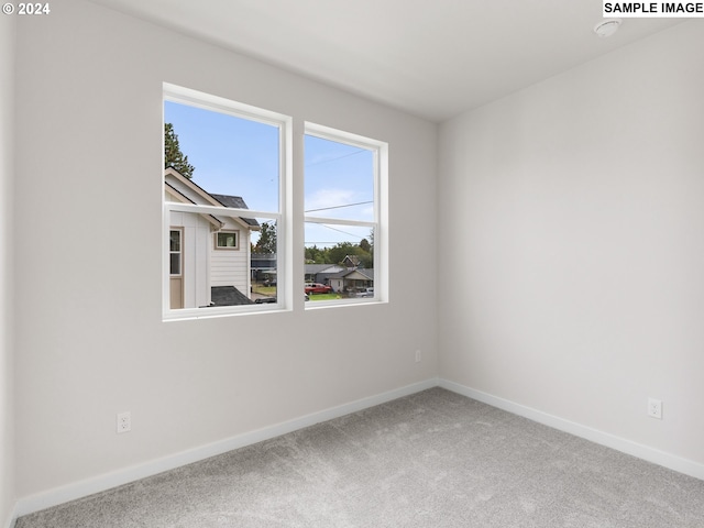 spare room featuring carpet floors