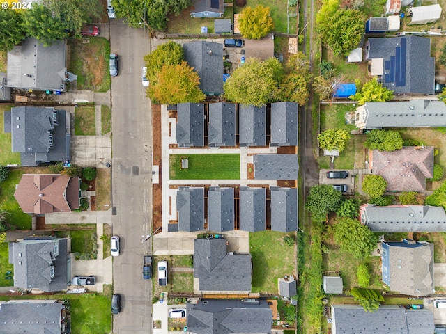 bird's eye view