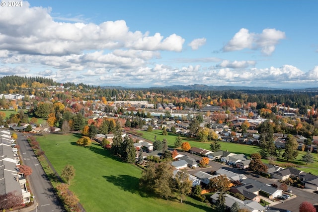 bird's eye view