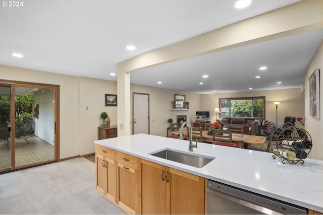 kitchen featuring sink and dishwasher