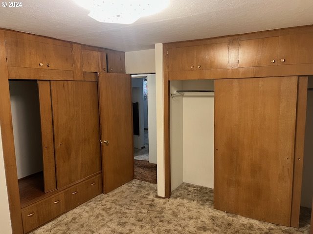 unfurnished bedroom featuring light carpet