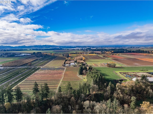 aerial view featuring a mountain view and a rural view