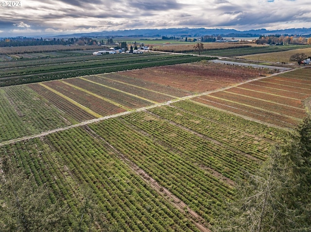 aerial view with a mountain view and a rural view