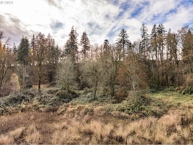 view of local wilderness