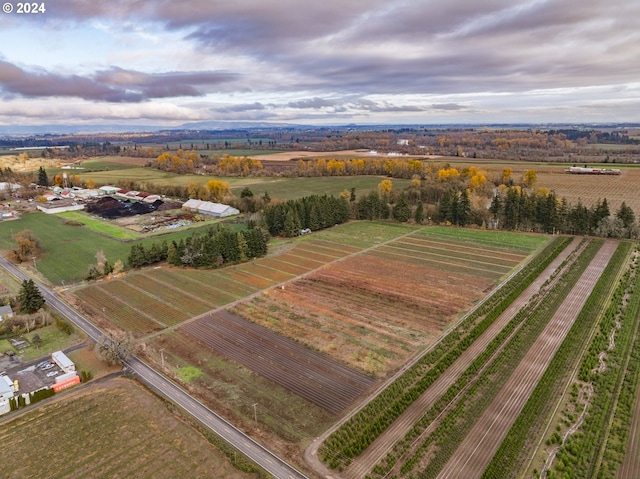 birds eye view of property with a rural view