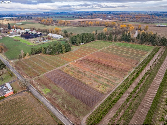 drone / aerial view with a rural view