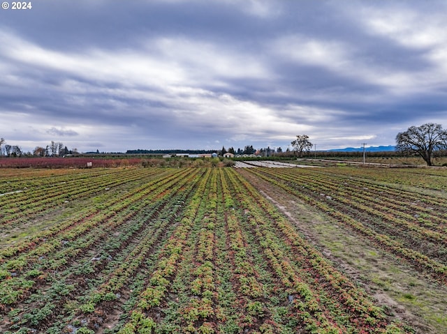 view of yard with a rural view