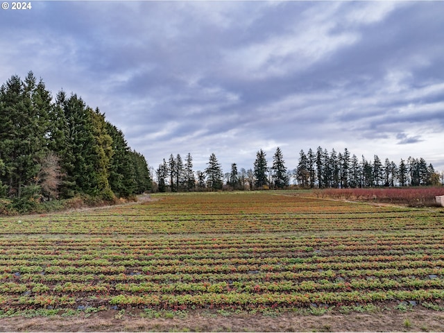 view of yard with a rural view