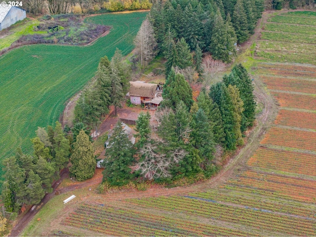 bird's eye view featuring a rural view