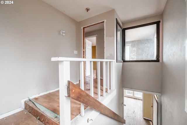 stairway with hardwood / wood-style floors