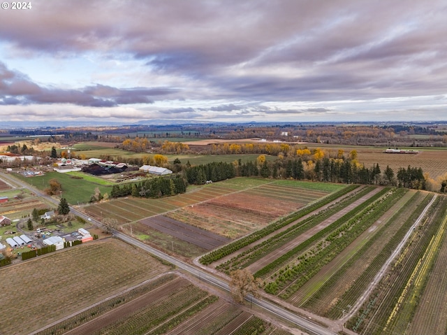 aerial view featuring a rural view