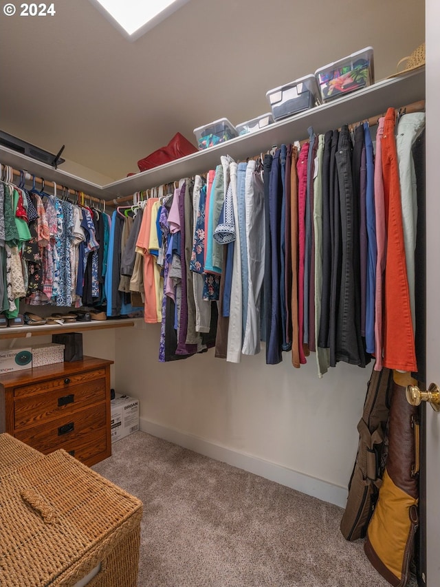 walk in closet with carpet floors