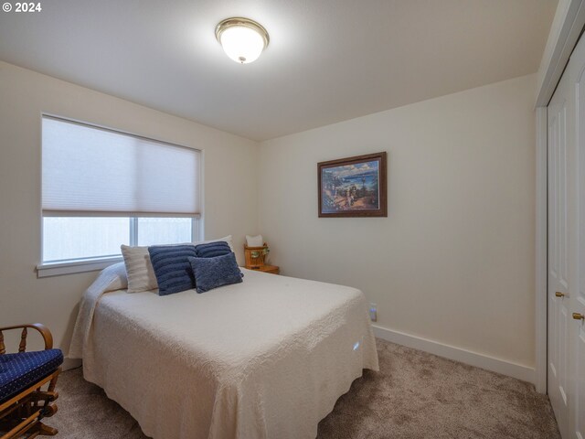 bedroom with a closet and light carpet