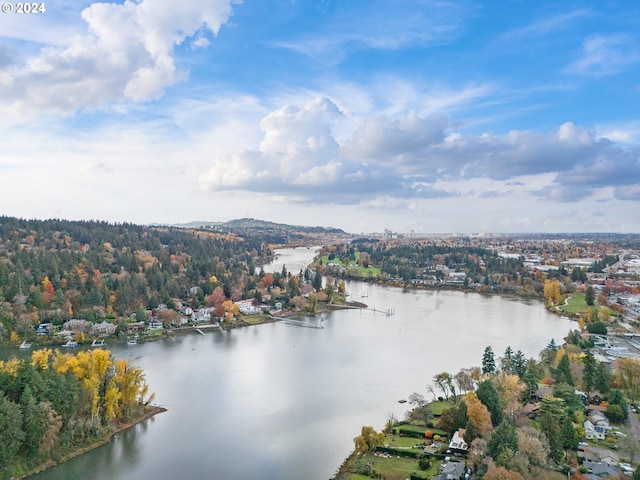 bird's eye view featuring a water view