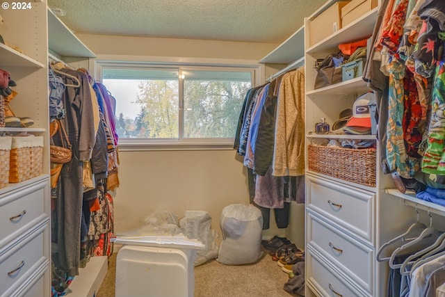 walk in closet featuring carpet flooring