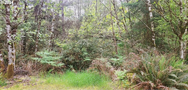 75012006021 P St, Ocean Park WA, 98640 land for sale