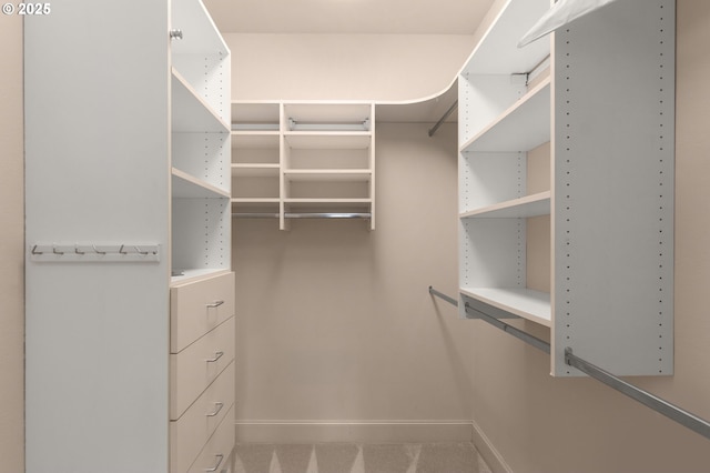 walk in closet featuring carpet flooring