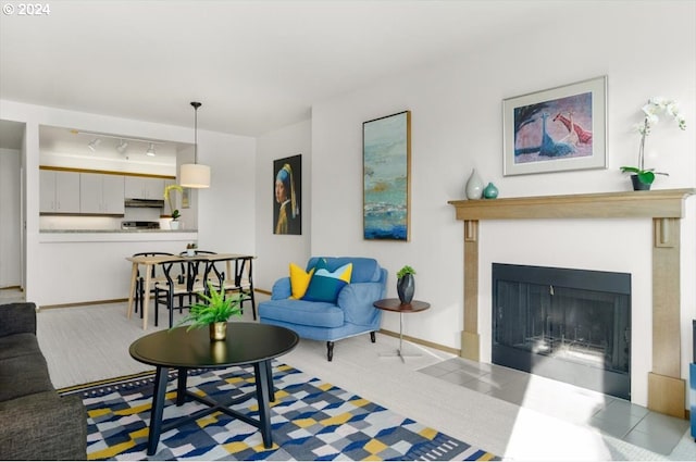 carpeted living room featuring rail lighting