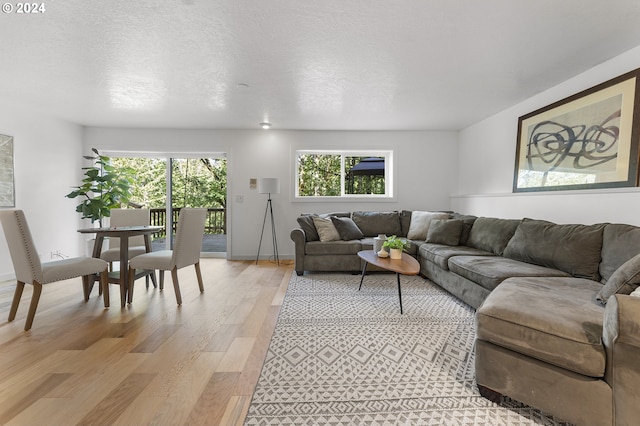 living room featuring a textured ceiling and light wood-type flooring