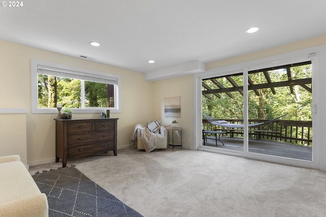 living area featuring carpet flooring